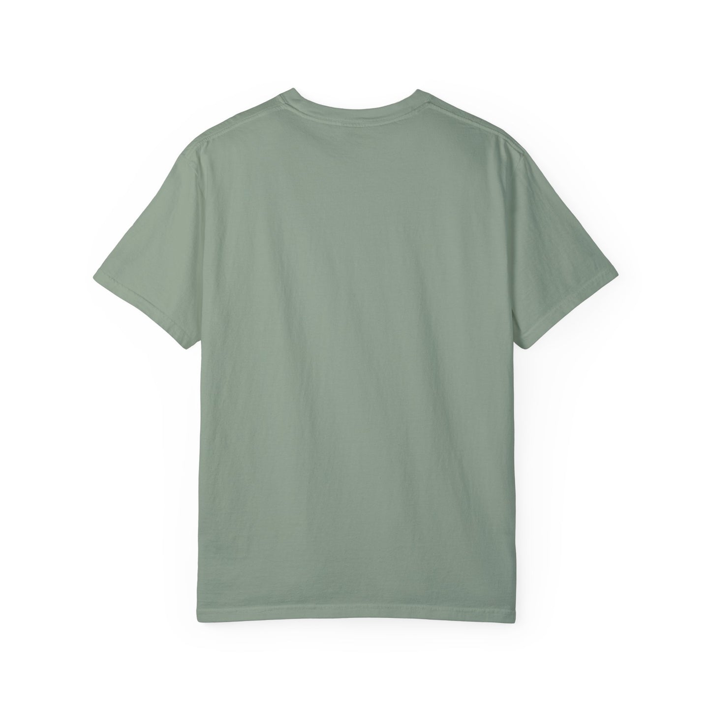 Destinations Comfort Colors T-shirt