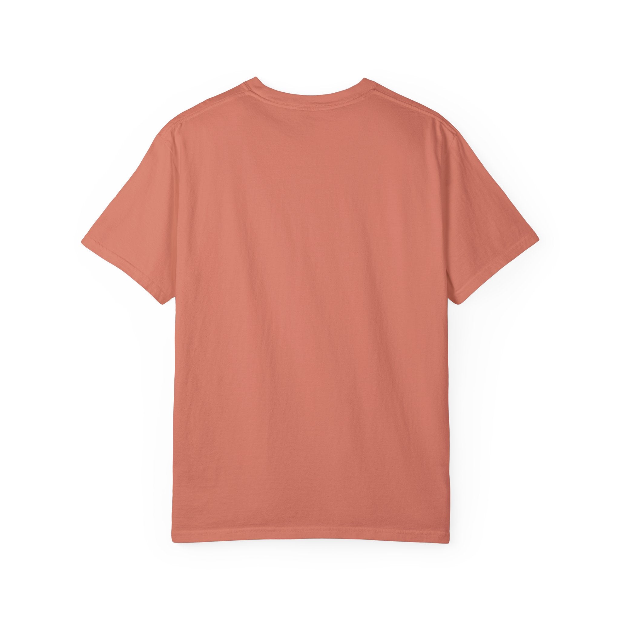 Mississippi Comfort Colors Shirt