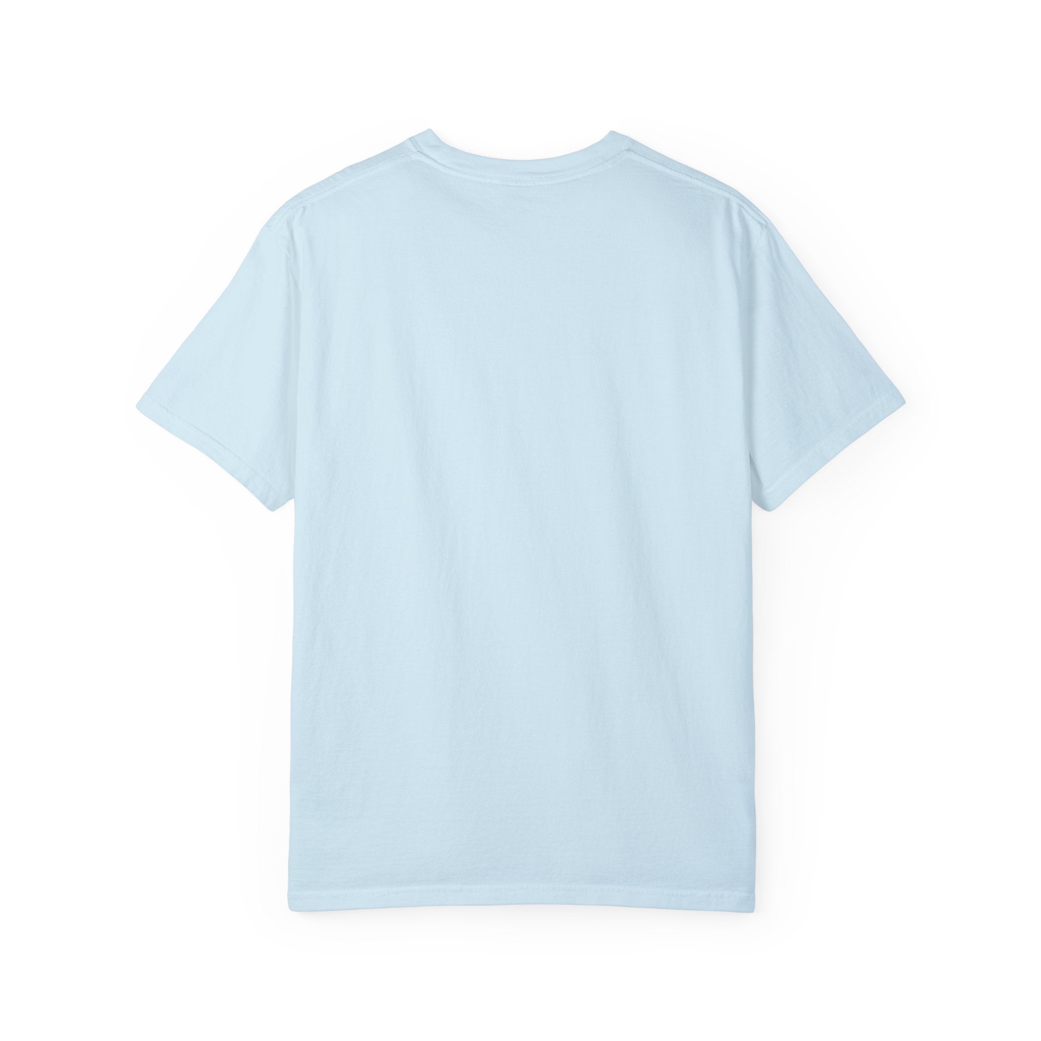 Mississippi Comfort Colors Shirt