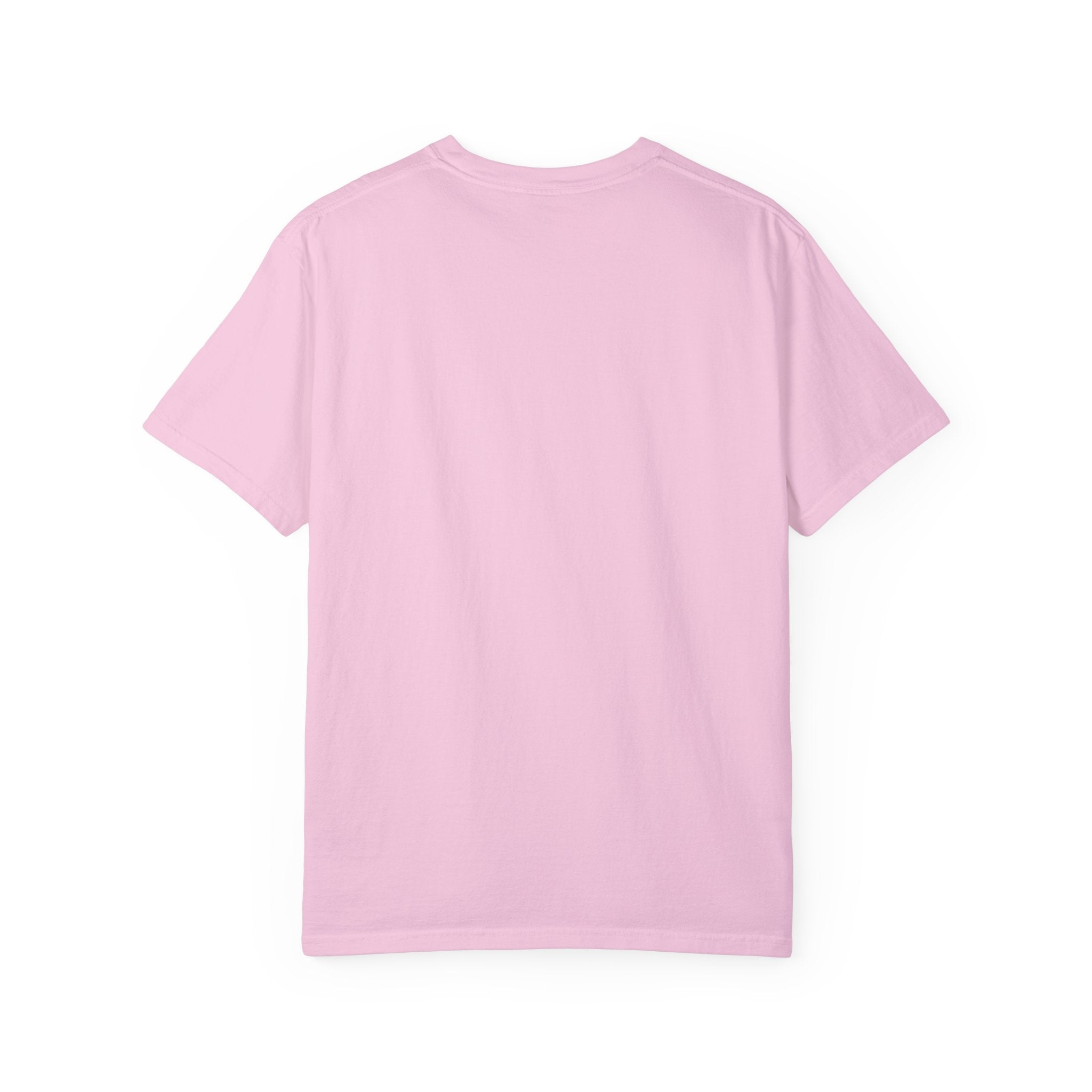 Mississippi Comfort Colors Shirt