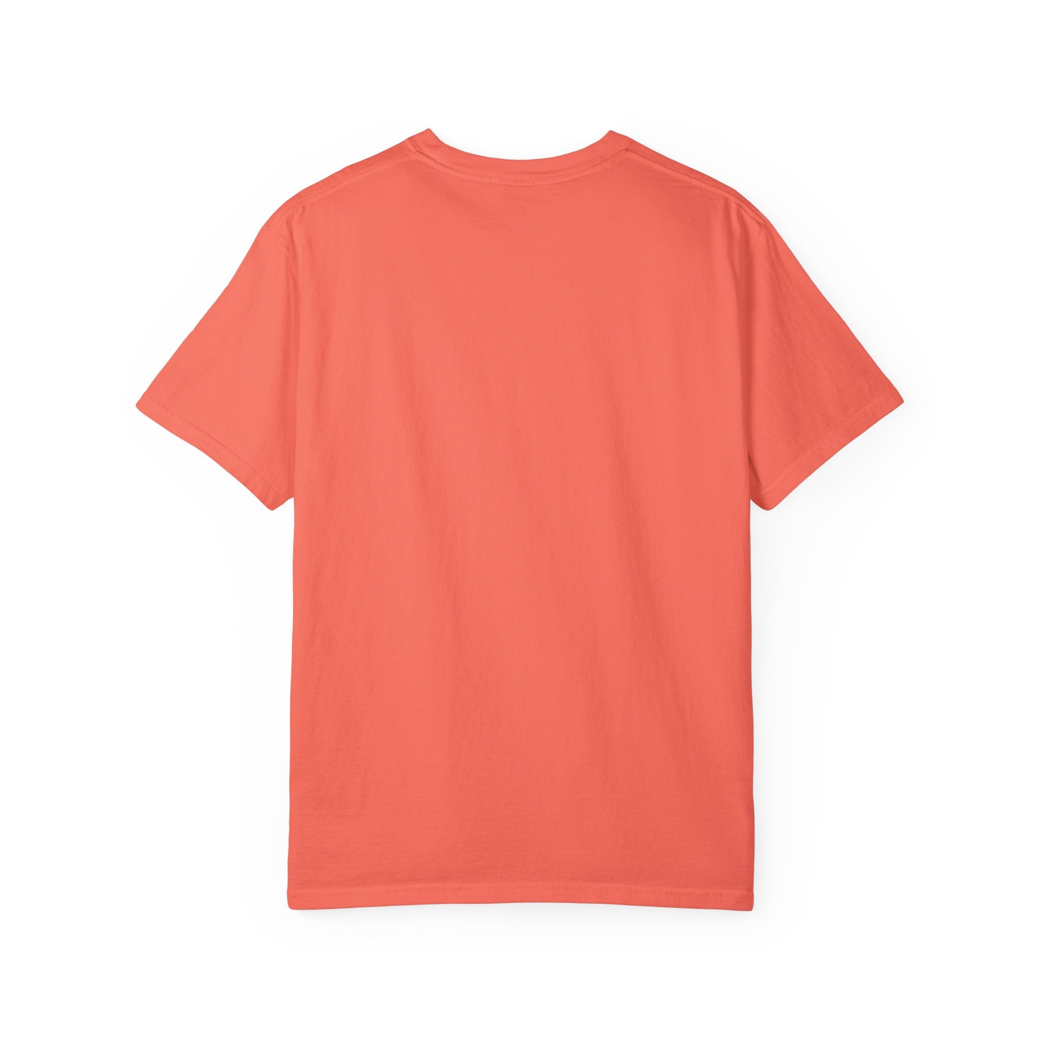 Mississippi Comfort Colors Shirt