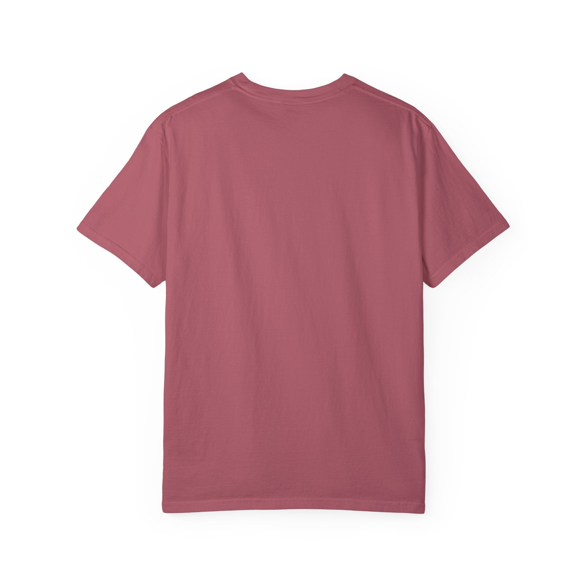 Mississippi Comfort Colors Shirt